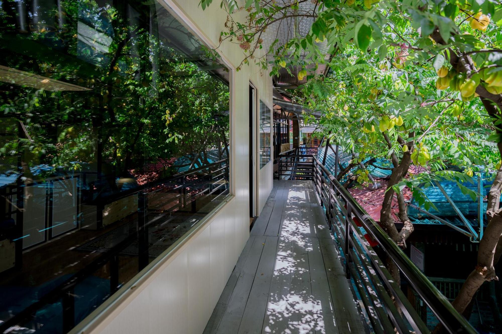 City Garden Hostel Ninh Bình Exteriör bild